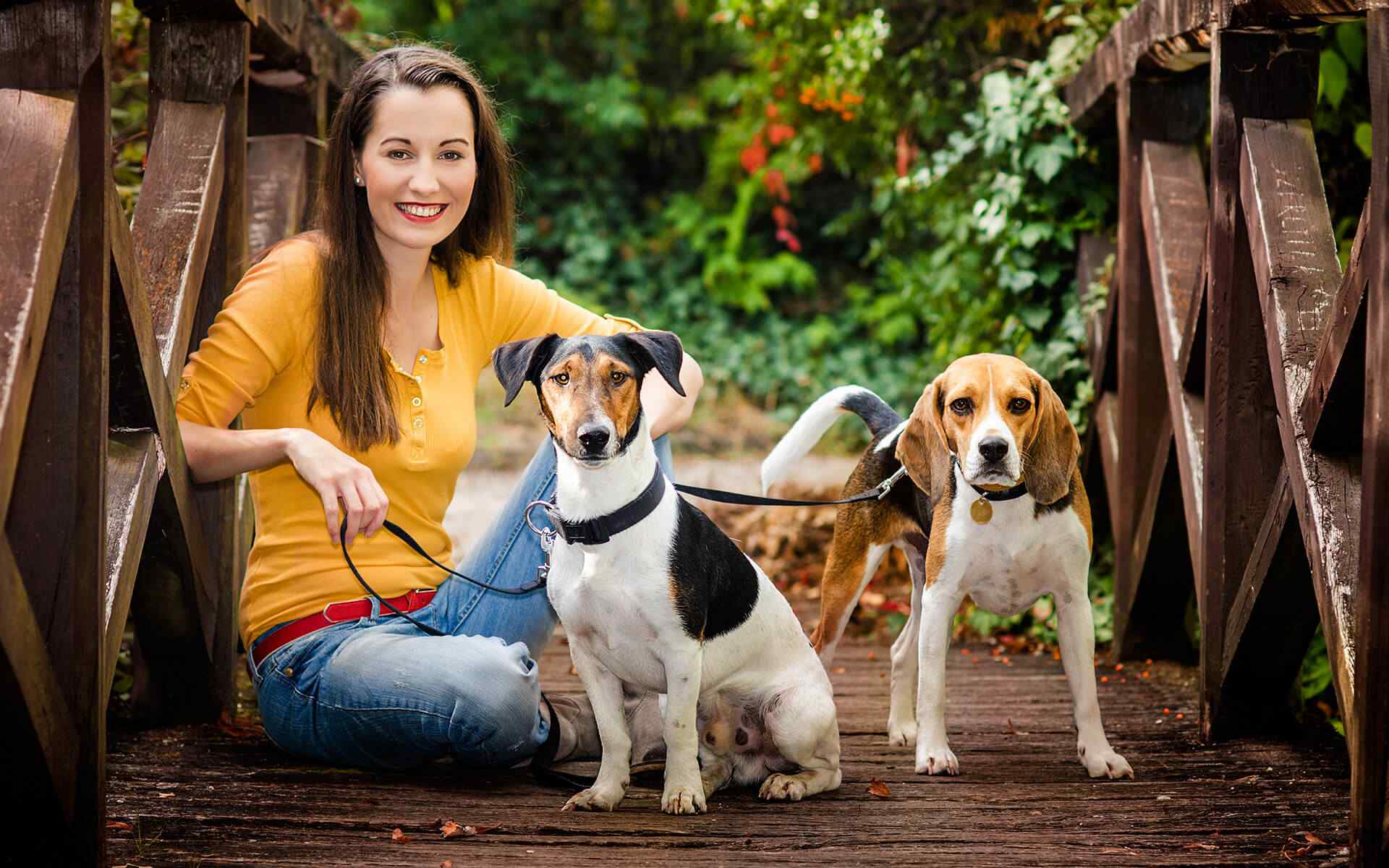 https://aliciashouseofpaws.co.uk/wp-content/uploads/2018/09/post_02.jpg