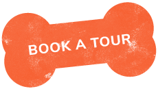 https://aliciashouseofpaws.co.uk/wp-content/uploads/2019/07/text_03.png