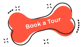 https://aliciashouseofpaws.co.uk/wp-content/uploads/2019/08/book_tour.png