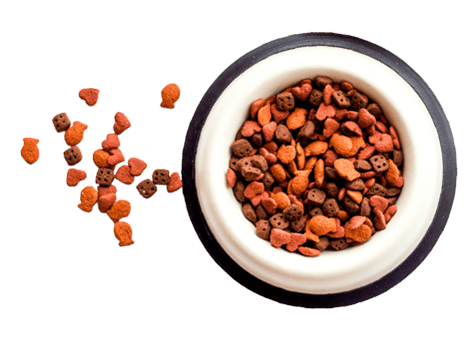https://aliciashouseofpaws.co.uk/wp-content/uploads/2019/08/floating_food.png
