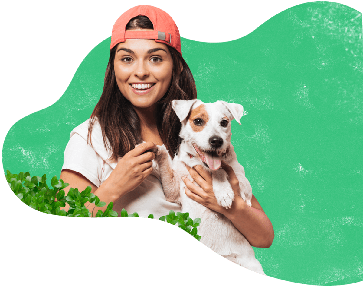 https://aliciashouseofpaws.co.uk/wp-content/uploads/2019/08/hero_image_13.png