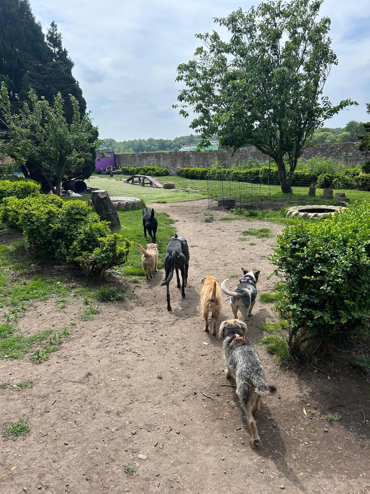 https://aliciashouseofpaws.co.uk/wp-content/uploads/2025/06/b4487f77-ebc4-4ebf-8693-3aa6cc871121.jpg